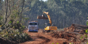 Miradas críticas sobre la expansión forestal en Uruguay y Argentina